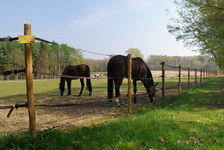 PAARD STALLEN - Foto 4