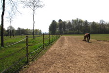 PAARD STALLEN - Foto 5